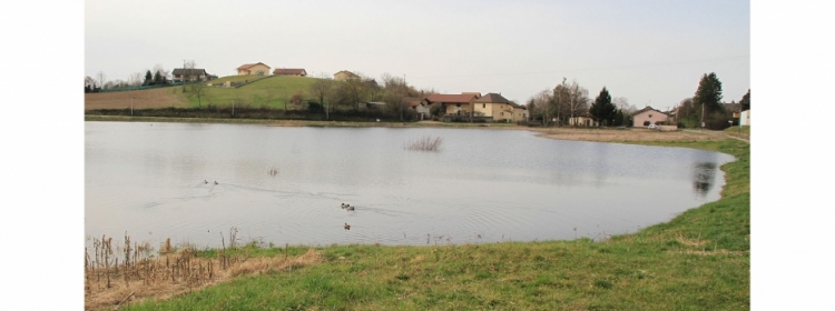 Lac Gris